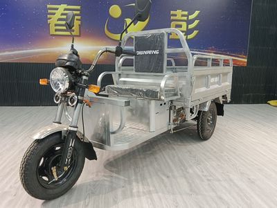 Chunpeng  CP1500DZH8 Electric tricycle