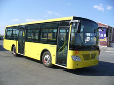 Longjiang brand automobiles LJK6100GT City buses