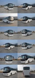 Yaxing  YBL6119HBEV Pure electric passenger cars