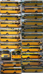 Yutong  ZK6115DX61 School buses exclusively for primary and secondary school students