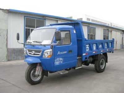 Five star  7YPJ1475DB Self dumping tricycle