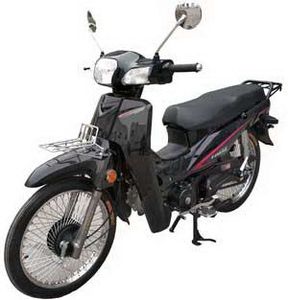 Luojia  LJ1106D Two wheeled motorcycles