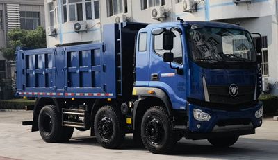 Foton  BJ3244DMPHB74 Dump truck