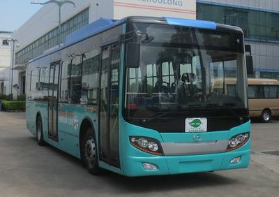 Wuzhoulong  FDG6105EVG1 Pure electric city buses