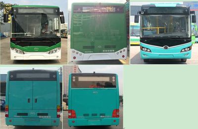 Wuzhoulong  FDG6105EVG1 Pure electric city buses