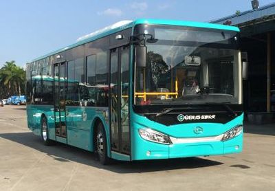 Wuzhoulong  FDG6105EVG1 Pure electric city buses