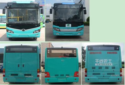 Wuzhoulong  FDG6105EVG1 Pure electric city buses