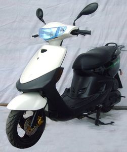 Riya  RY100T30 Two wheeled motorcycles