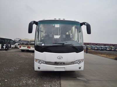 Hagrid KLQ6856KQE51B coach