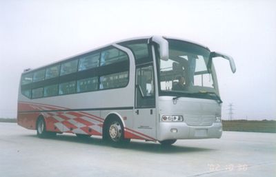 Feiyan  SDL6120WBNE Sleeper coach