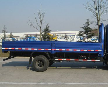 Foton  BJ1049V9PEAFB Truck