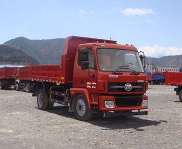 Lifan  LFJ3120G8 Dump truck