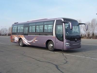 Huanghai  DD6109K69 coach