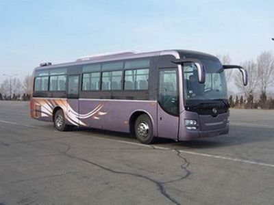 Huanghai  DD6109K69 coach