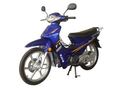 Huaweilong  HL1102A Two wheeled motorcycles