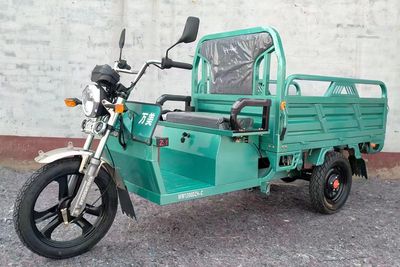 Wanmei  WM1200DZHC Electric tricycle