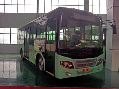 Wuzhoulong WZL6891NGT5City buses