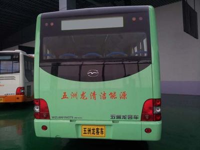 Wuzhoulong  WZL6891NGT5 City buses