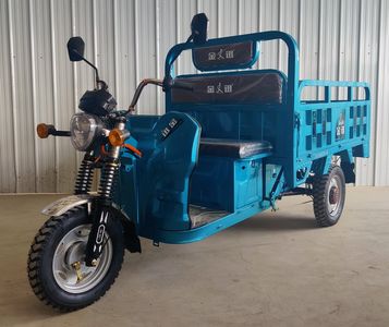 Jinxun  JX1200DZH6S Electric tricycle