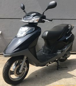 Wangjiang  WJ125T19 Two wheeled motorcycles