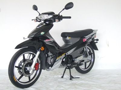 Dayang DY12552CTwo wheeled motorcycles