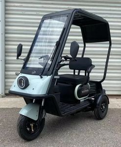 Wanshida  WSD1200DZK12 Electric tricycle