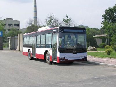 Huanghai  DD6109S53 City buses