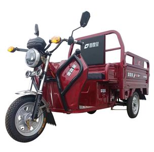 Thunder Emperor LTH1500DZH Electric tricycle