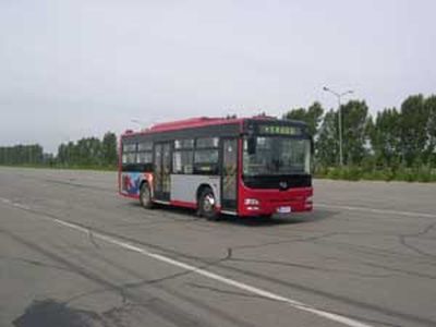 Huanghai  DD6900S01 City buses