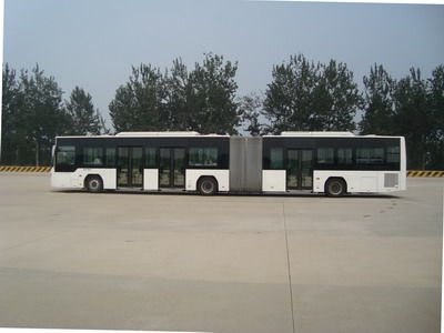 Foton  BJ6180C8CTD City buses