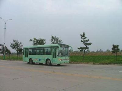 Feiyan SDL6720CCity buses