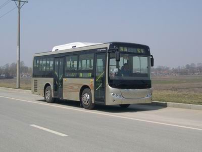 CSR Times TEG6850GJ City buses