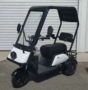 Wanshida  WSD1200DZK10 Electric tricycle