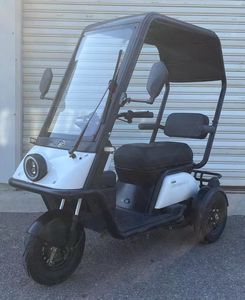 Wanshida  WSD1200DZK10 Electric tricycle