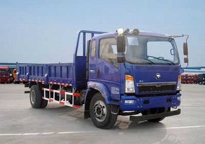 Yellow River ZZ3167G5115D1Dump truck