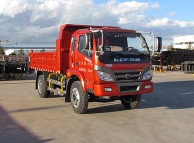 Lifan  LFJ3045G5 Dump truck