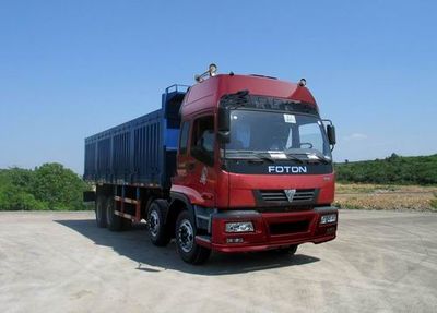 Ruijiang  WL3319Z Dump truck