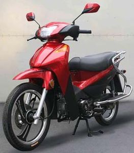 Lifan  LF11011T Two wheeled motorcycles