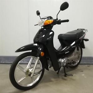 New  XB50QD moped with two wheels 