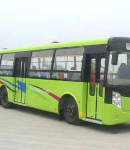 Nanjun  CLC6831AG coach