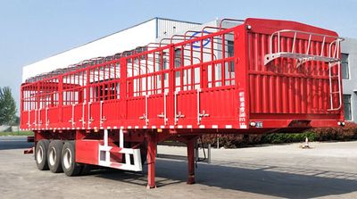 Benyuda  WHY9402CCY Gantry transport semi-trailer