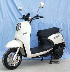 Wangye  WY1500DQT10 Electric two wheeled light motorcycle