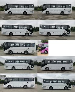 Hagrid KLQ6889KAE61 coach