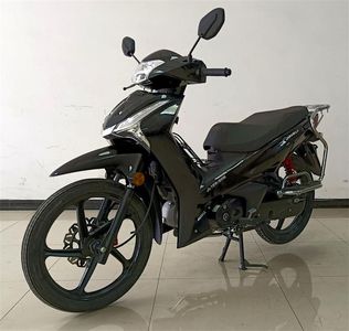 Jinli  JL12530E Two wheeled motorcycles