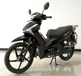 Jinli  JL12530E Two wheeled motorcycles