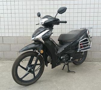 Jinli  JL12530E Two wheeled motorcycles