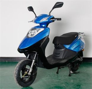 Wangpai  WP600DQT Electric two wheeled light motorcycle