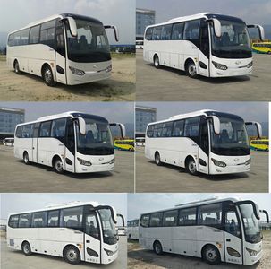 Jinlong  XMQ6802AYD5D coach