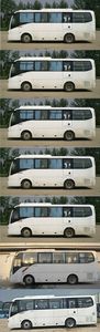 Jinlong  XMQ6802AYD5D coach