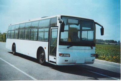 Huanghai  DD6111S08 coach